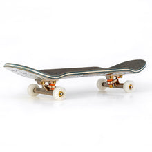 Load image into Gallery viewer, Berlinwood Candy Jacobs Firefly Pro Set